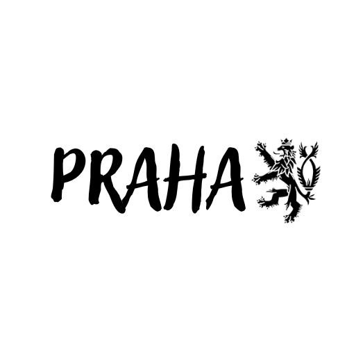 ČECHY